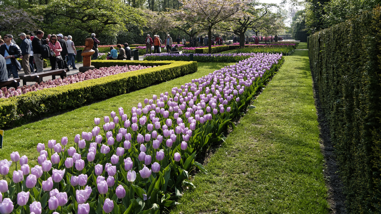 20140423 103348 Keukenhof Gardens, Lisse, South Holland, Netherlands